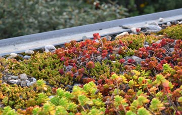 the cost of Kentrigg green roof installation